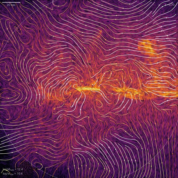 IllustrisTNG - Infinite Gallery